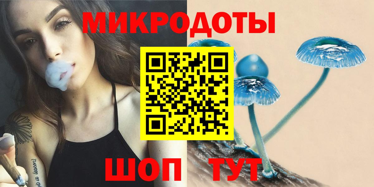 Энгельс  Галлюциногенные грибы Cubensis  Вход с VPN  Псилоцибиновые грибы Psilocybe 