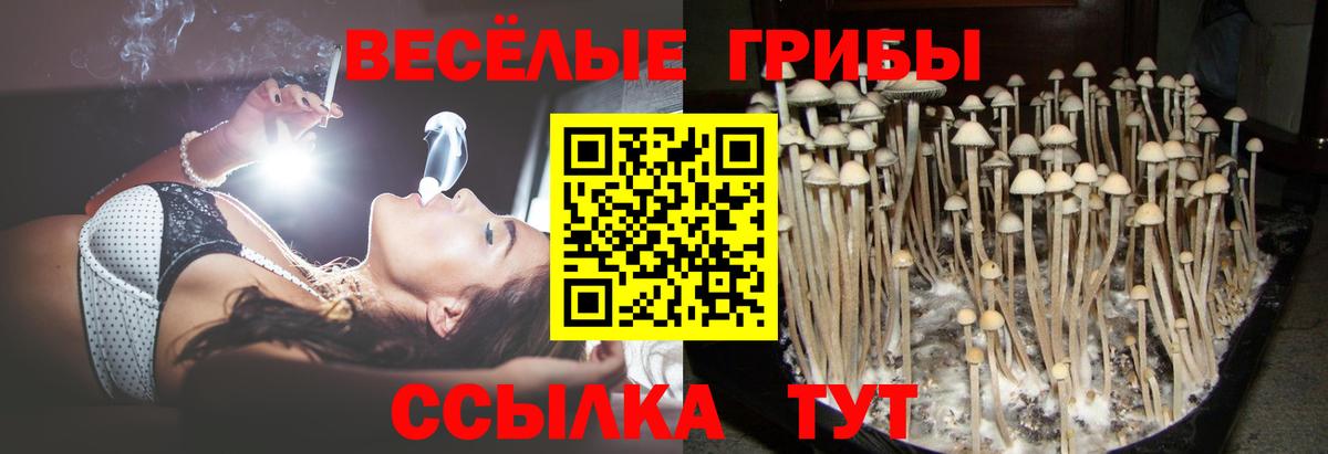 Галлюциногенные грибы Cubensis Энгельс